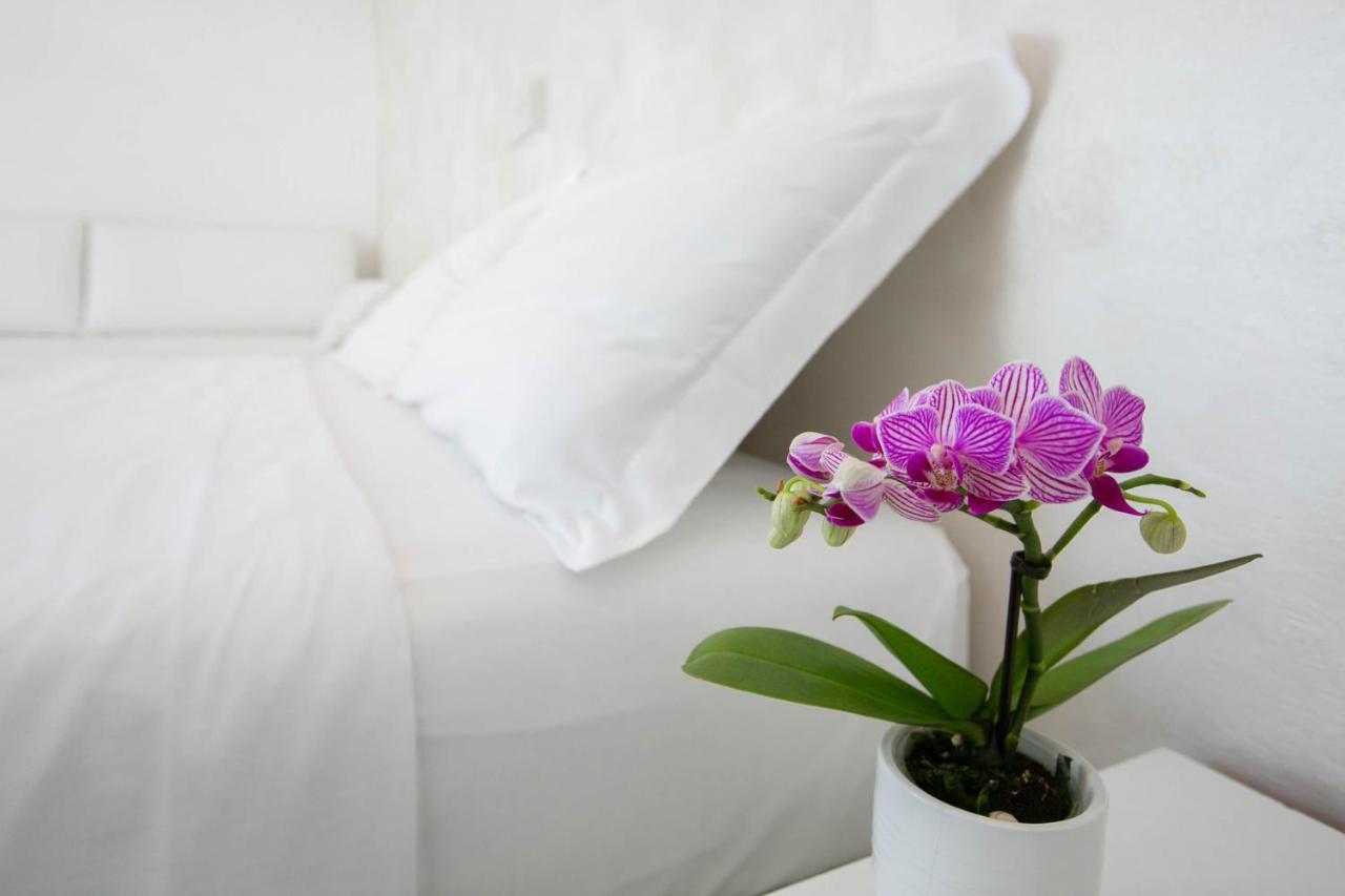 Hotel Nuovo Giardino Rimini Eksteriør billede